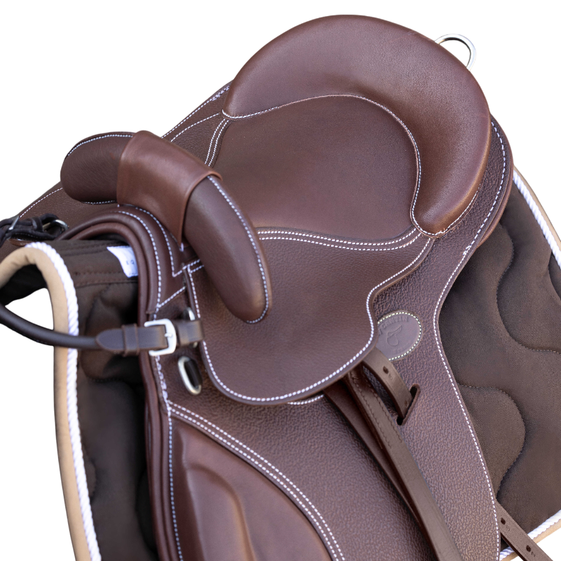 Guy Cantin - Selle éducative Evolution havane