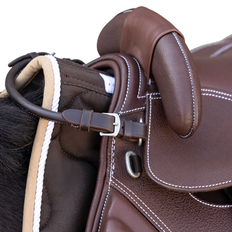 Guy Cantin - Selle éducative Evolution havane