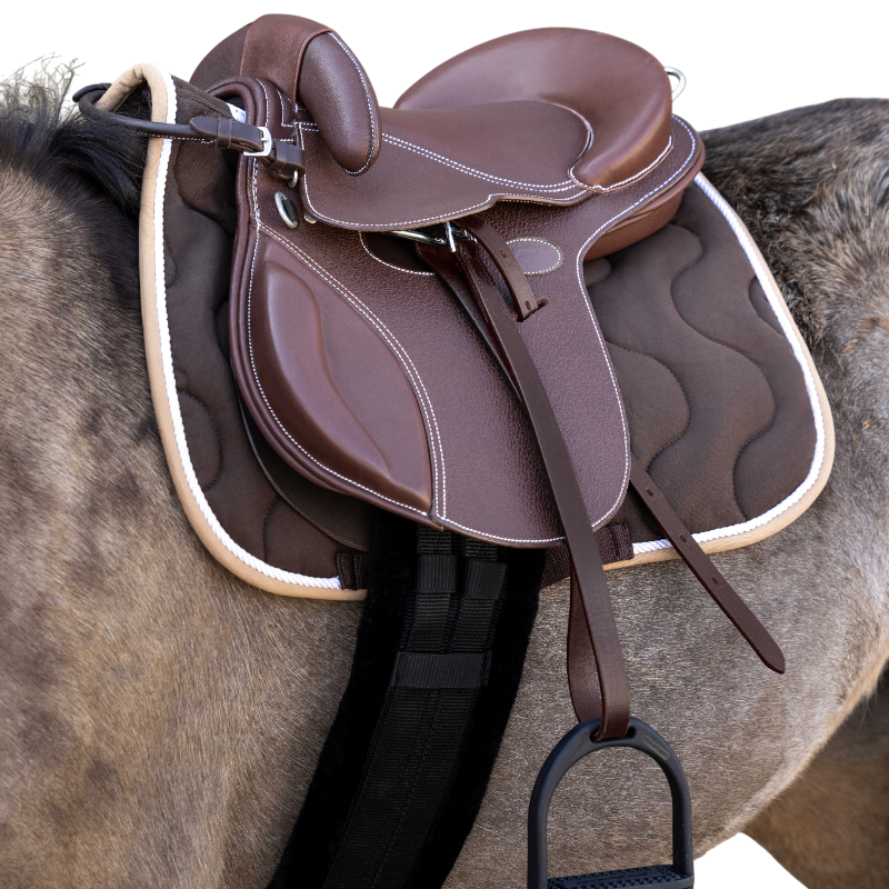 Guy Cantin - Selle éducative Evolution havane