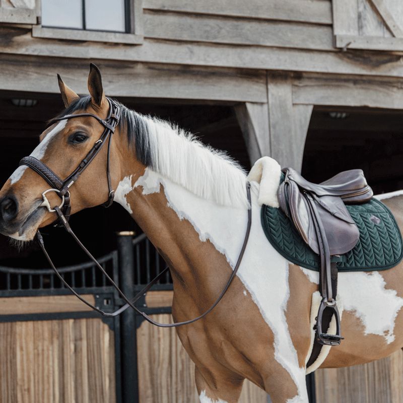 Kentucky Horsewear - Tapis de selle Skin Friendly Velvet vert sapin | - Ohlala