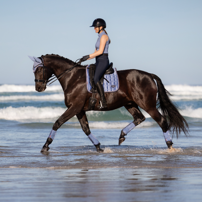 LeMieux - Tapis de dressage Loire Classic powder blue | - Ohlala