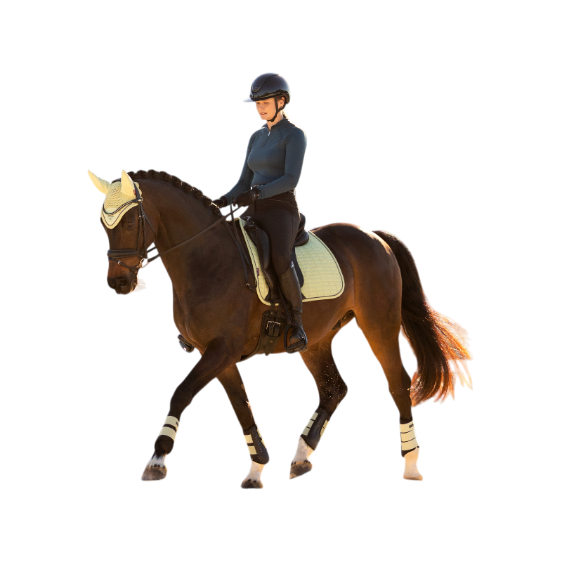 LeMieux - Tapis de dressage Suede macaron | - Ohlala