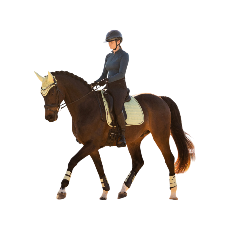 LeMieux - Tapis de dressage Suede macaron | - Ohlala