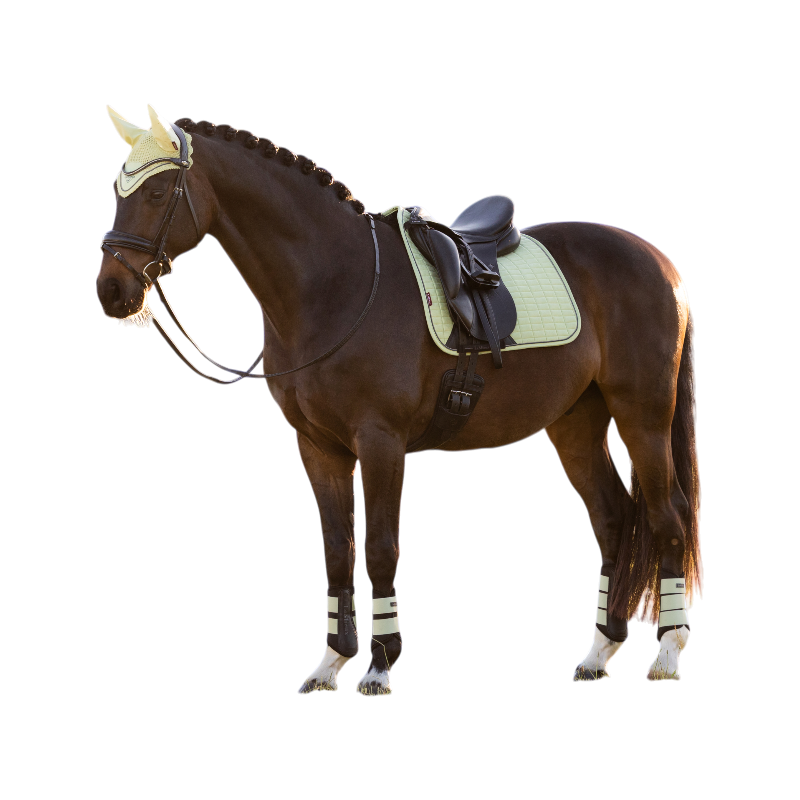 LeMieux - Tapis de dressage Suede macaron | - Ohlala