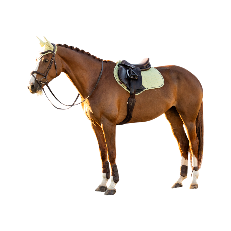 LeMieux - Tapis de selle Suede Close Contact macaron | - Ohlala