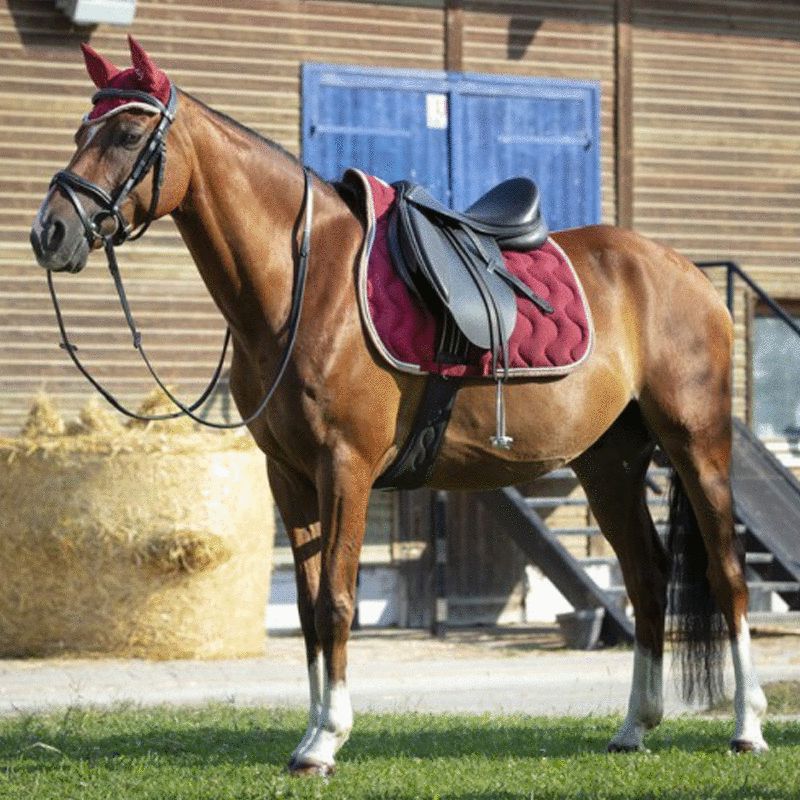 Equithème - Tapis de selle polyfun spécial dressage bordeaux | - Ohlala