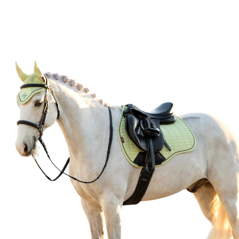 LeMieux - Tapis de selle Suede GP macaron | - Ohlala