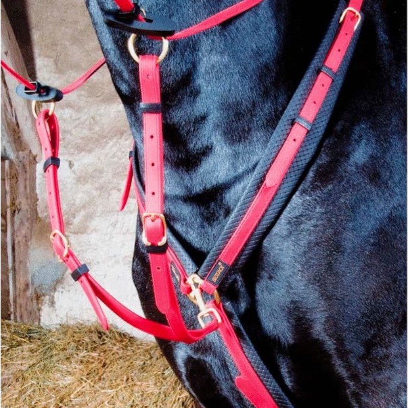 TdeT - Collier de chasse Biotack® rouge