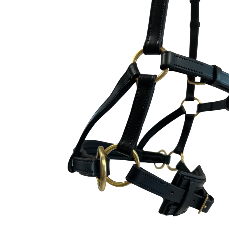 TdeT - Sidepull en cuir No More noir | - Ohlala