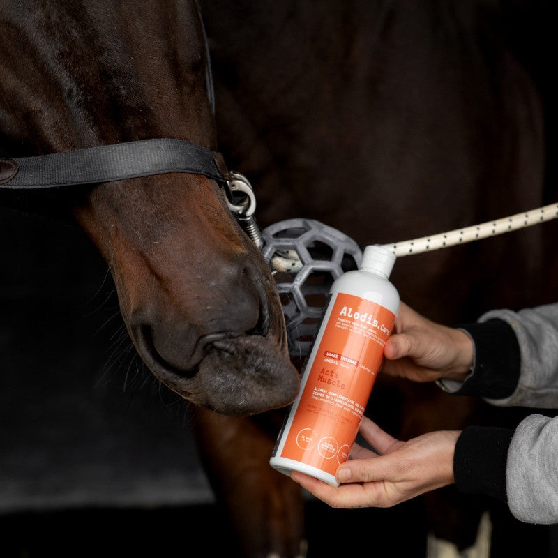 Alodis Care - Complément alimentaire liquide musculaire Acti muscle | - Ohlala