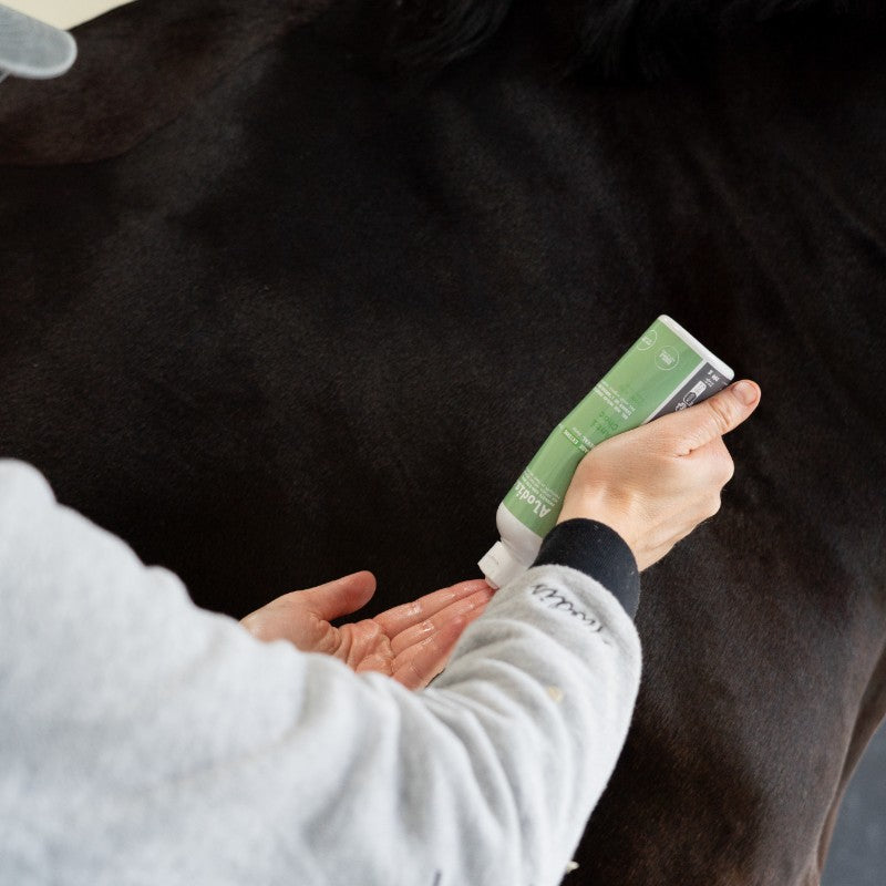 Alodis Care - Gel anti-inflammatoire Anti Choc après coup | - Ohlala