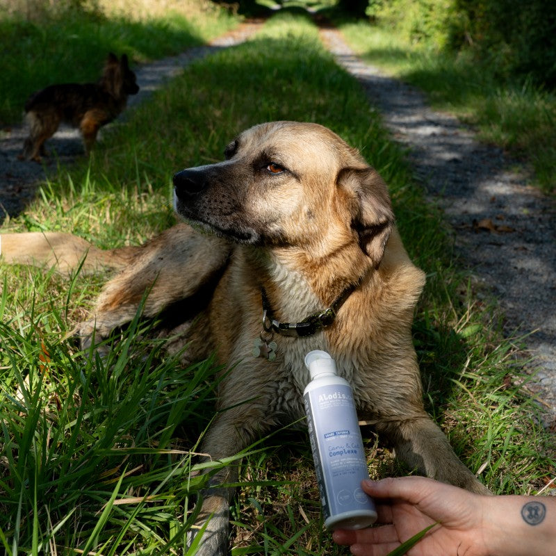 Alodis Care - Complément alimentaire liquide Cani & Cat Complexe pour chien et chat | - Ohlala
