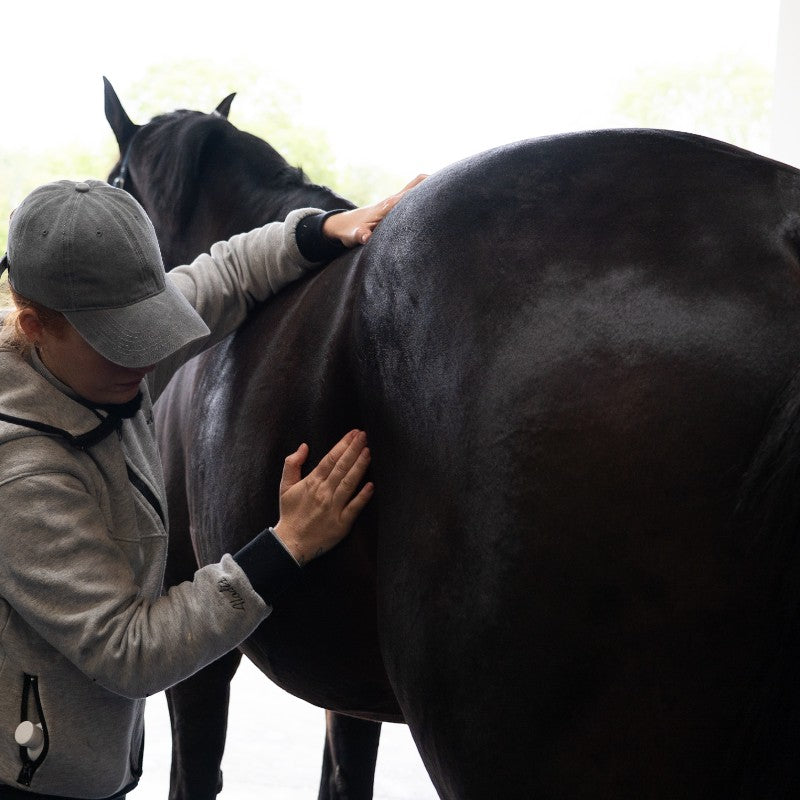 Alodis Care - Huile de massage Digest Récup problème gastrique | - Ohlala