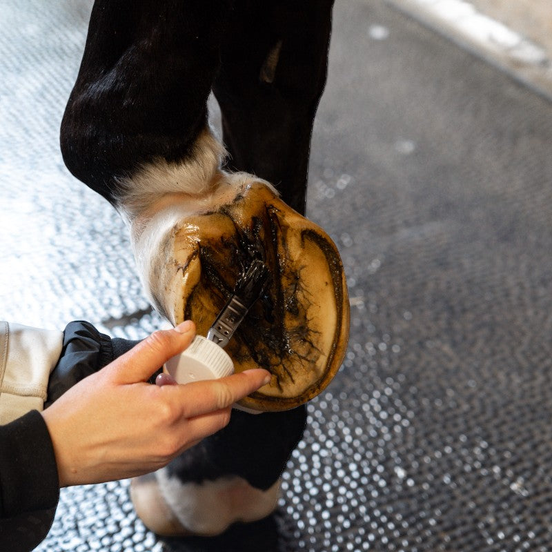 Alodis Care - Huile pour sabots Hoof Choc | - Ohlala