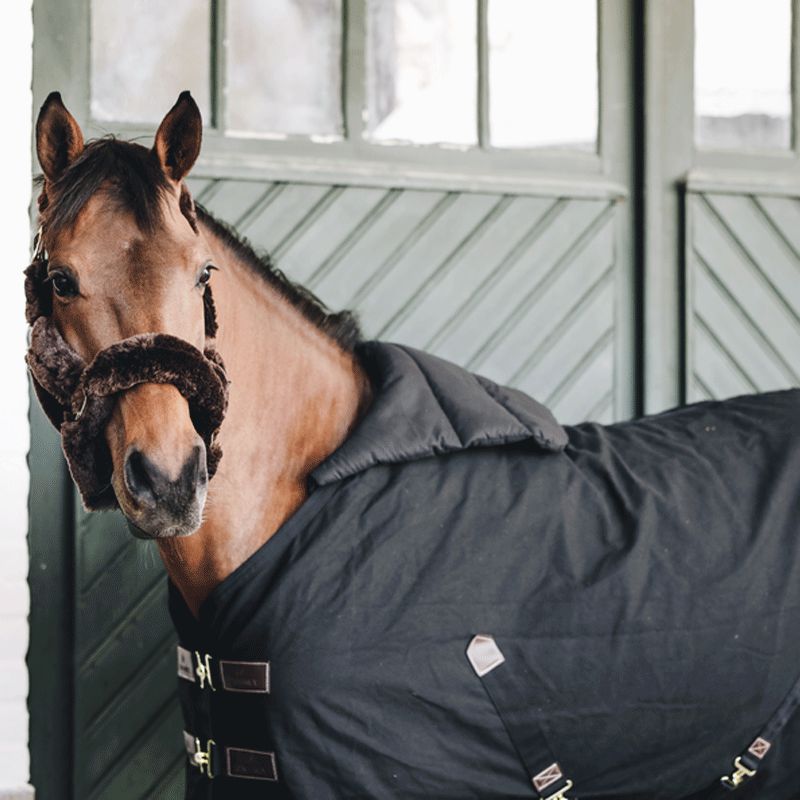 Kentucky Horsewear - Summer BIB Protection de poitrail/garrot noir | - Ohlala