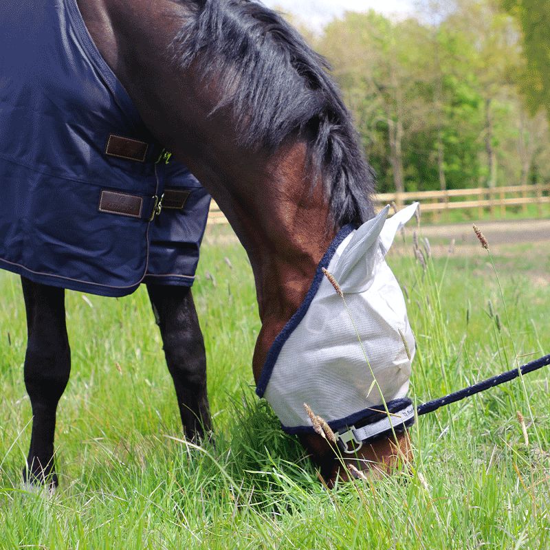 Horseware - Bonnet anti-insectes Amigo Fly Mask Argent / Marine | - Ohlala