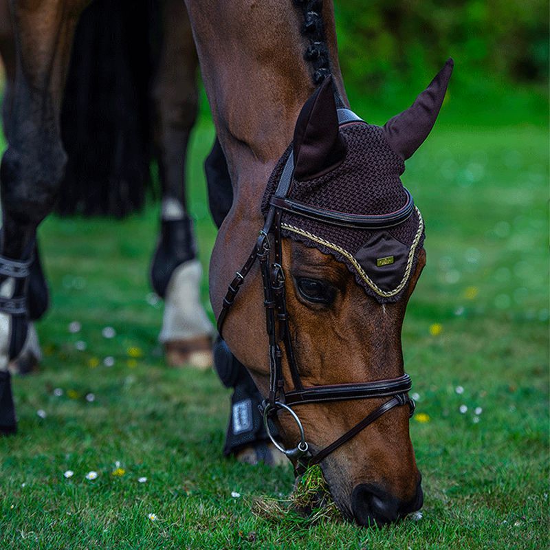 Equestrian Stockholm - Bonnet pour cheval Golden Brown | - Ohlala