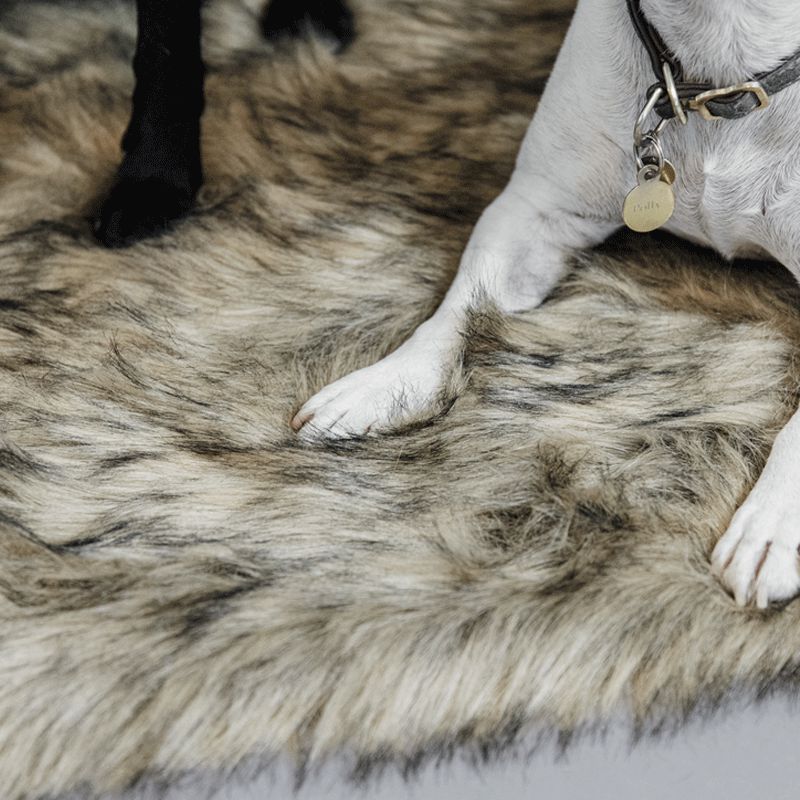 Kentucky Horsewear - Tapis pour chien Fuzzy Blanket To Go | - Ohlala