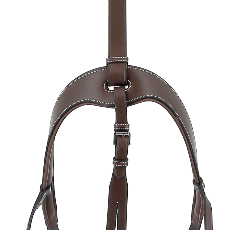 Jump'In - Collier de chasse 5 points + martingale One Noisette | - Ohlala