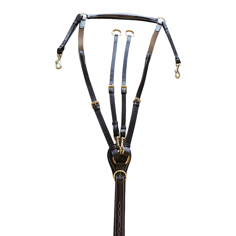 Canter - Collier de chasse surpiqué marron | - Ohlala