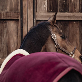 Kentucky Horsewear - Couverture séchante Show heavy bordeaux | - Ohlala