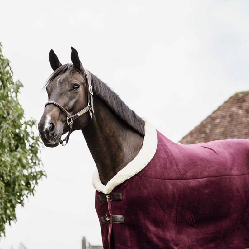 Kentucky Horsewear - Couverture séchante Show heavy bordeaux | - Ohlala