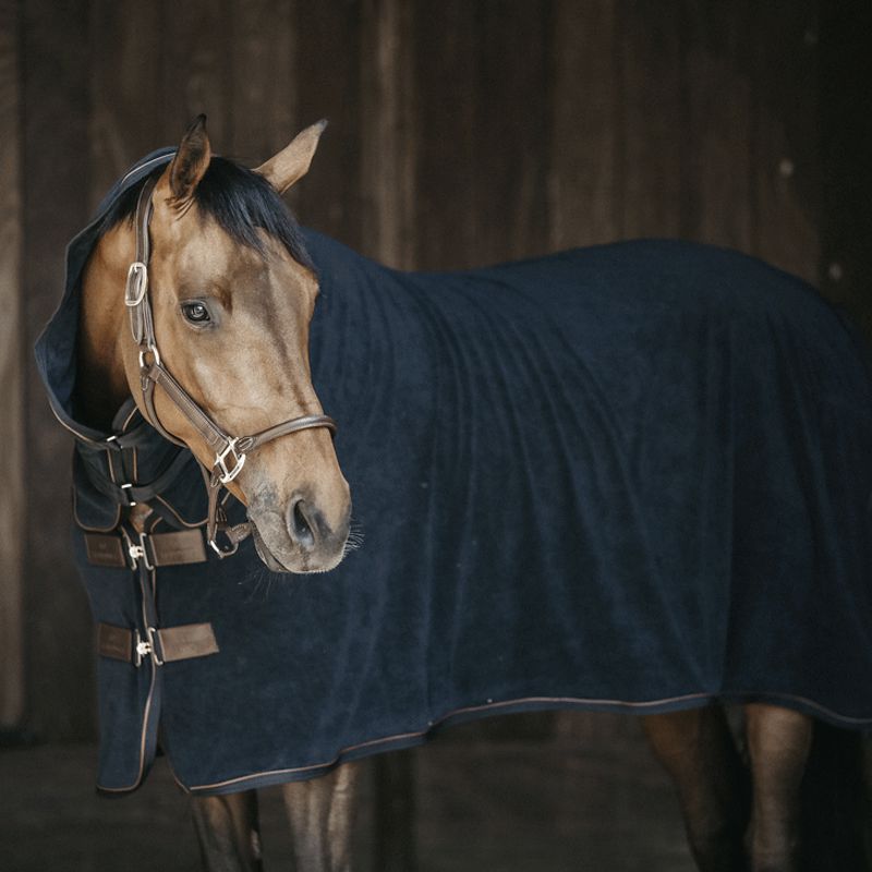 Kentucky Horsewear - Chemise séchante éponge noir | - Ohlala