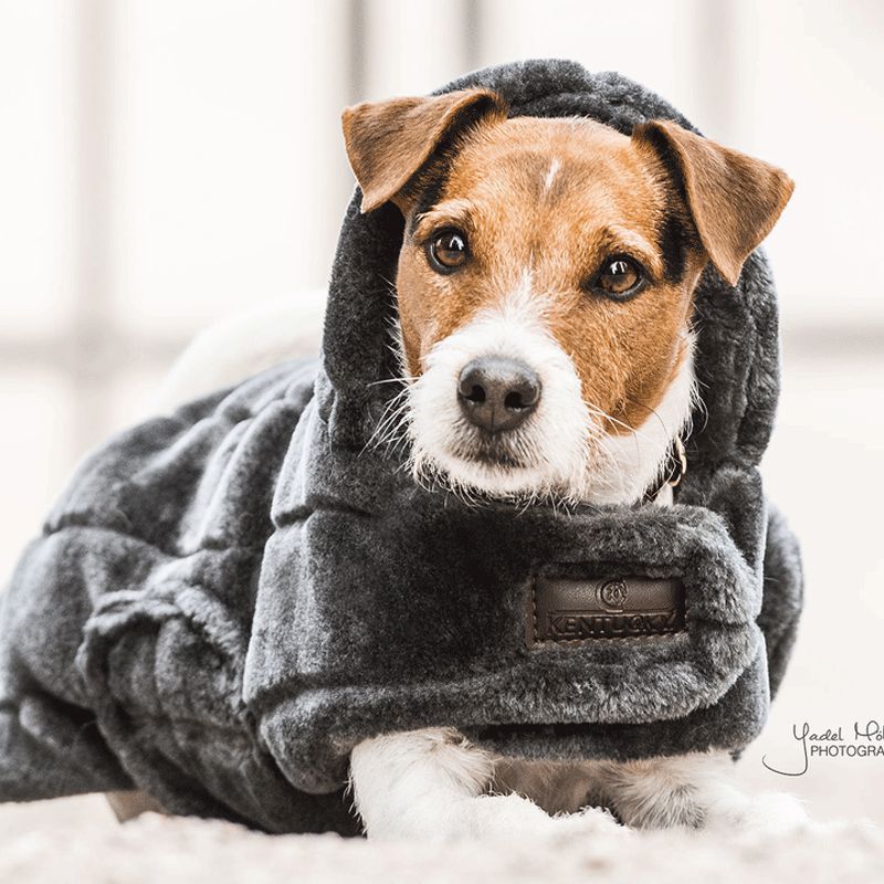 Kentucky Dogwear - Manteaux pour chiens Faux Fur gris | - Ohlala