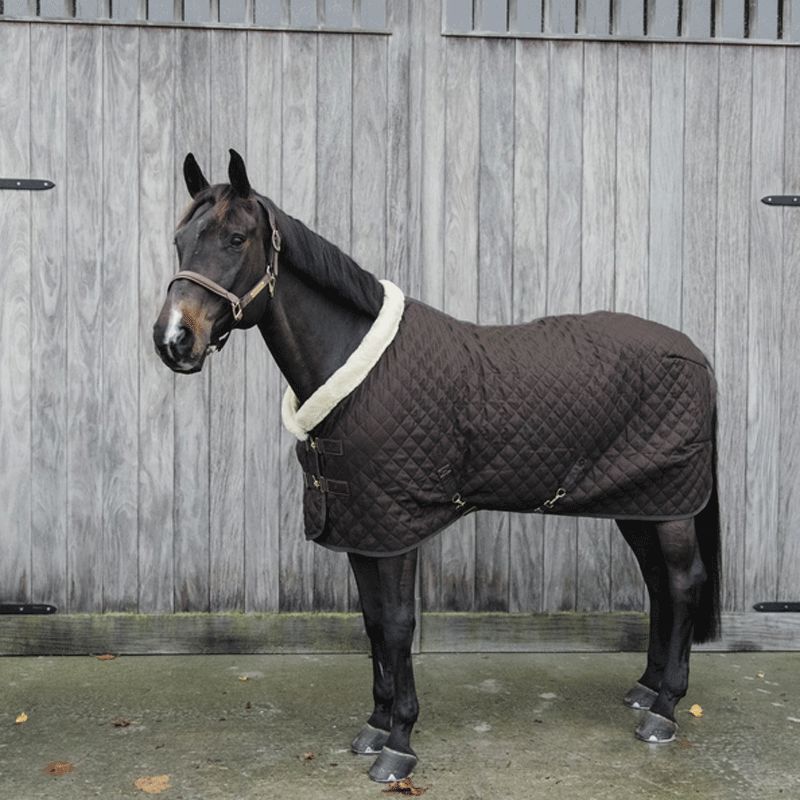 Kentucky Horsewear - Couverture de présentation 160g marron | - Ohlala