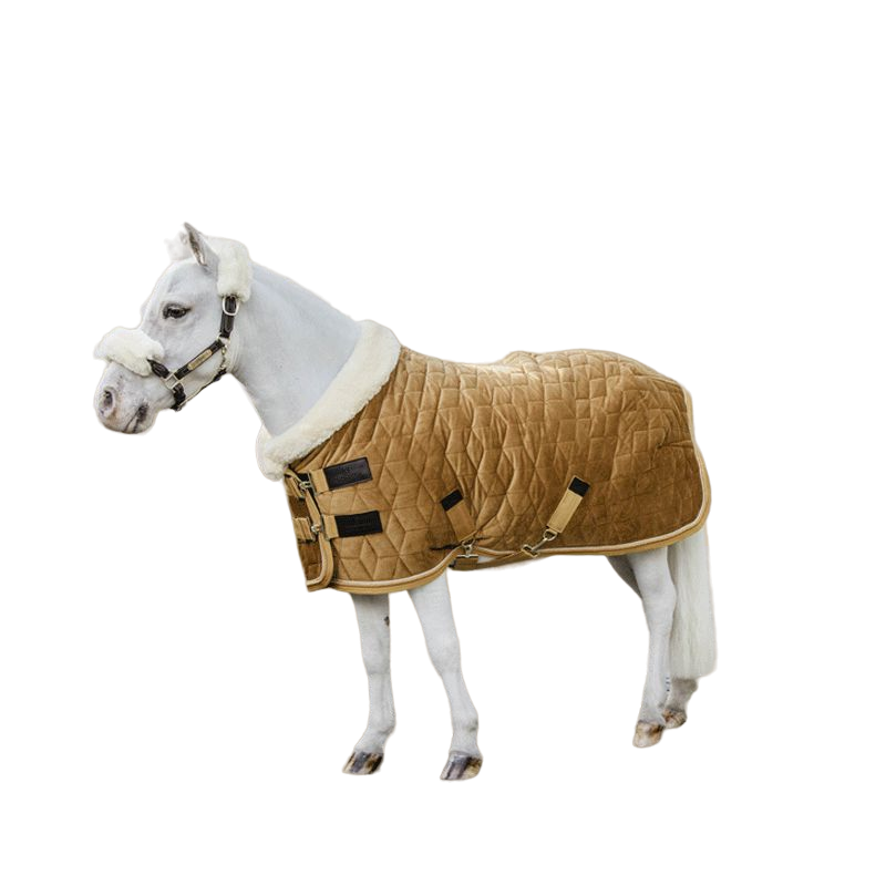 Kentucky Horsewear - Couverture de présentation velvet moutarde pour minis 160g | - Ohlala