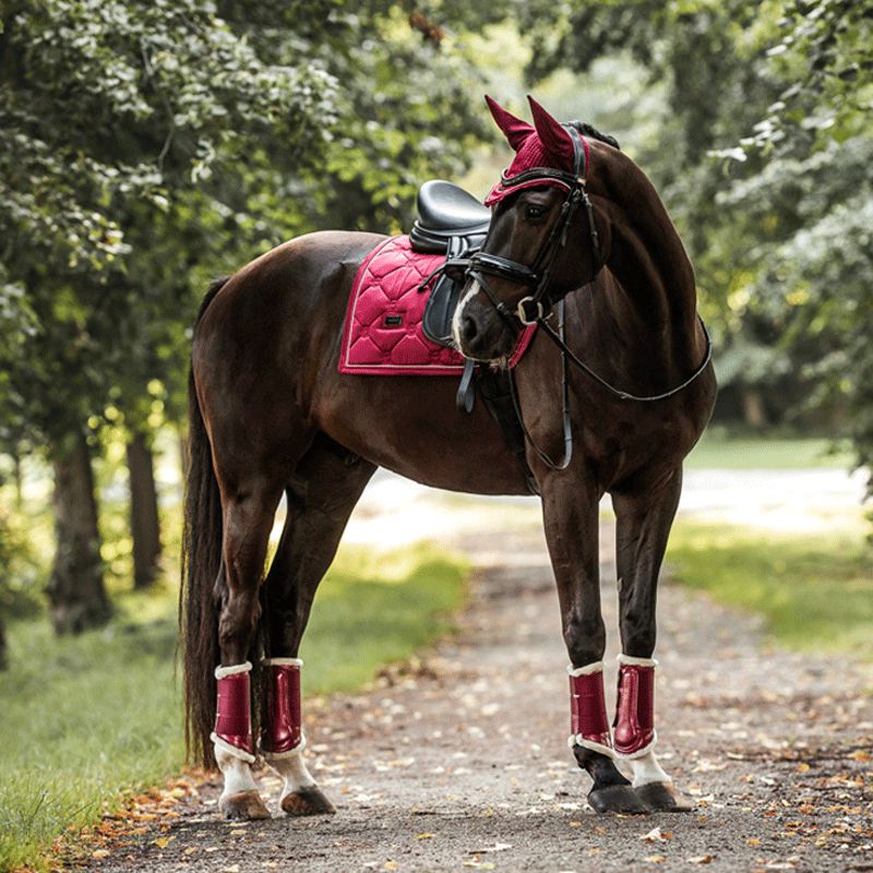 Equestrian Stockholm - Tapis de dressage Bordeaux | - Ohlala