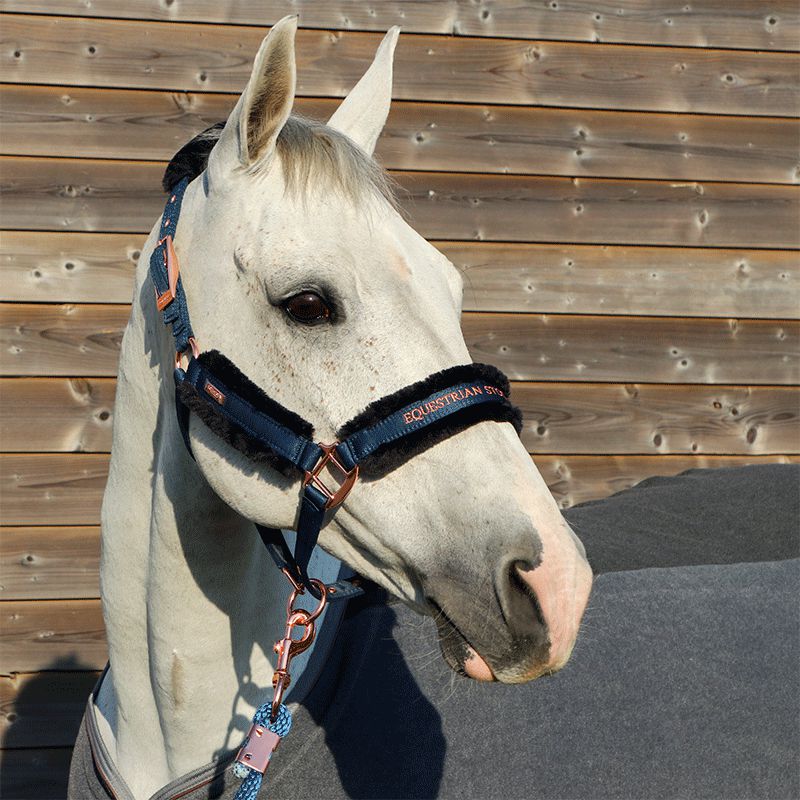 Kentucky Horsewear - Chemise séchante Fleece Heavy gris | - Ohlala