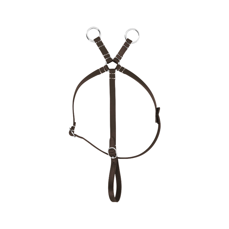 Equithème - Martingale pour mini poney havane | - Ohlala