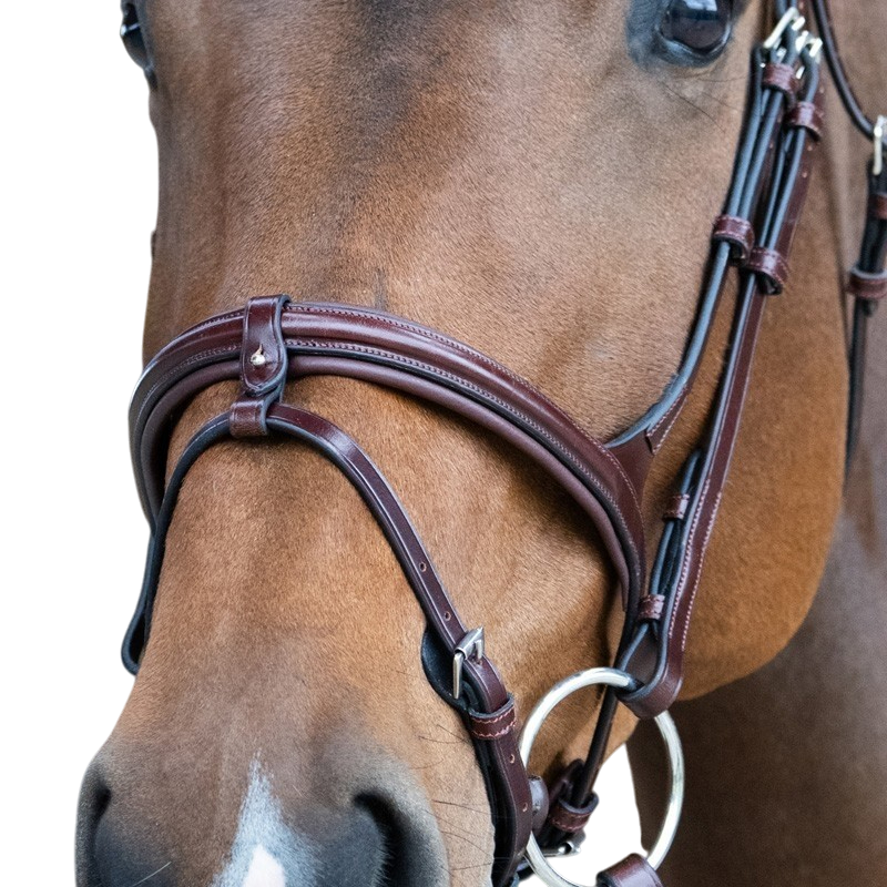 Jump'In - Muserolle combinée Evolution noisette