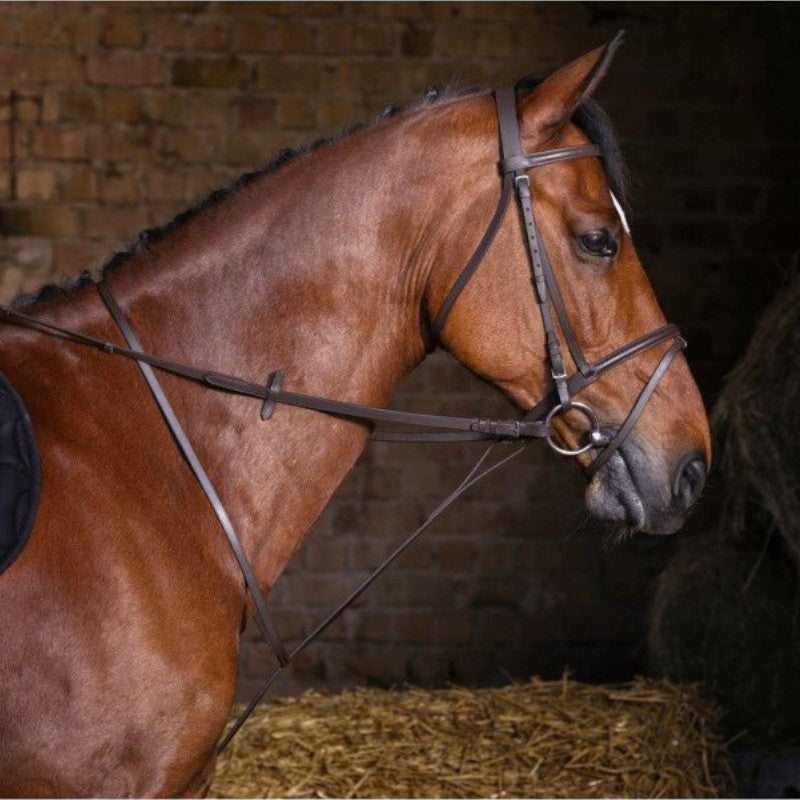 Riding World - Martingale met Havana -ringen