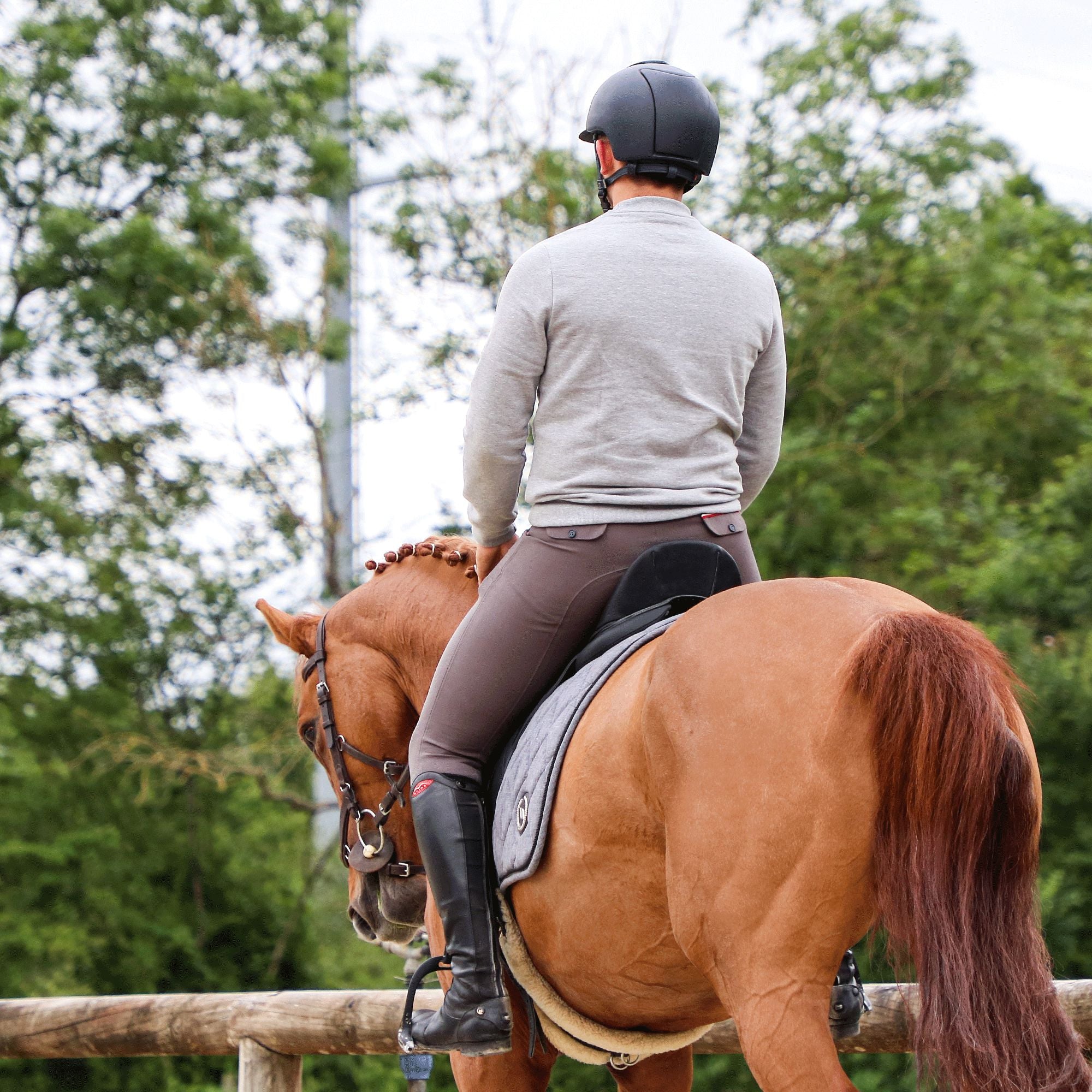 Flags & Cup - Pantalon d'équitation homme Saint Malo gris | - Ohlala