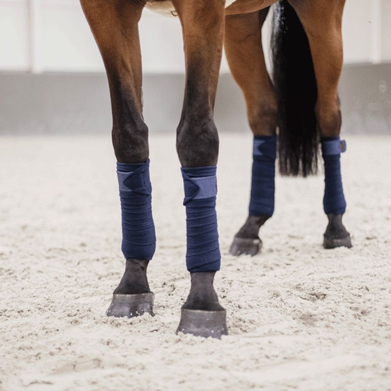 Kentucky Horsewear - Bandes de polo Glitter marine (x4) | - Ohlala