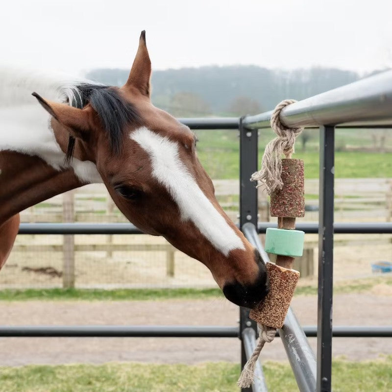 Grooming Deluxe - Jouet en bois relaxant pour cheval avec pierre à sel Airways | - Ohlala