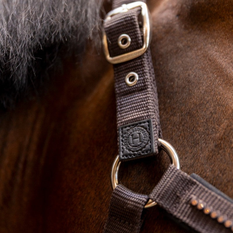 Harcour - Ensemble licol et longe Amour cacao | - Ohlala