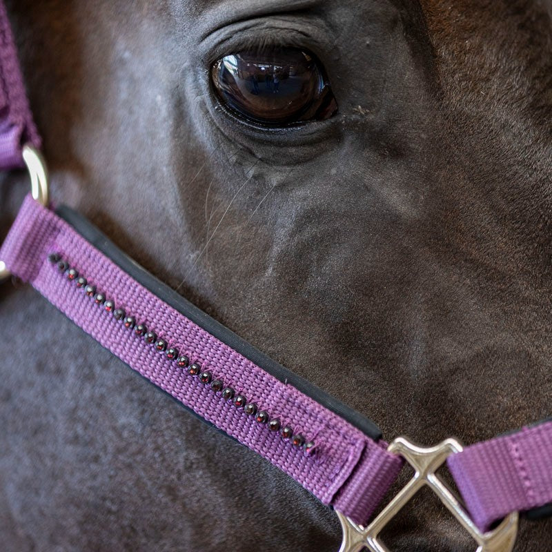 Harcour - Ensemble licol et longe Amour figue | - Ohlala