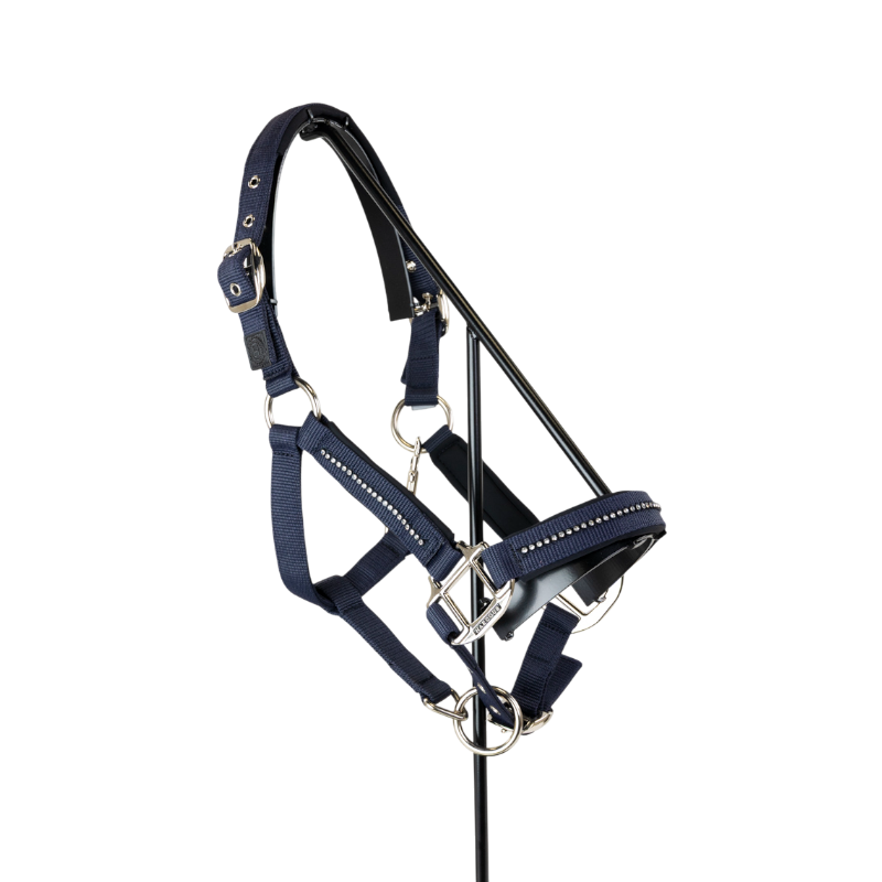 Harcour - Ensemble licol et longe Amour marine | - Ohlala