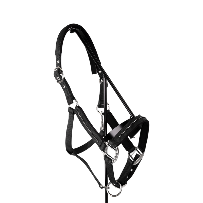 Harcour - Ensemble licol et longe Amour noir | - Ohlala