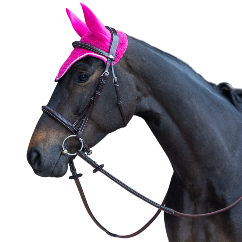 Jump'In - Bonnet pour chevaux Balthazar fuschia/ noir | - Ohlala