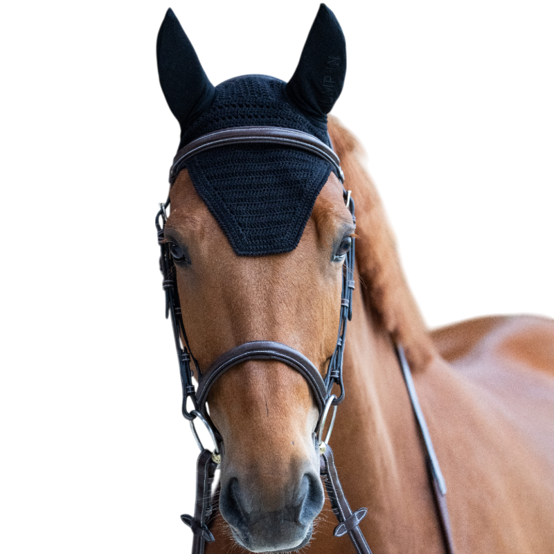 Jump'In - Bonnet pour chevaux Balthazar noir/ noir | - Ohlala