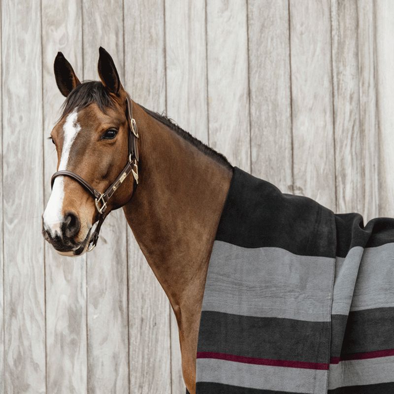 Kentucky Horsewear - Couverture séchante carré heavy stripes noir/ gris | - Ohlala