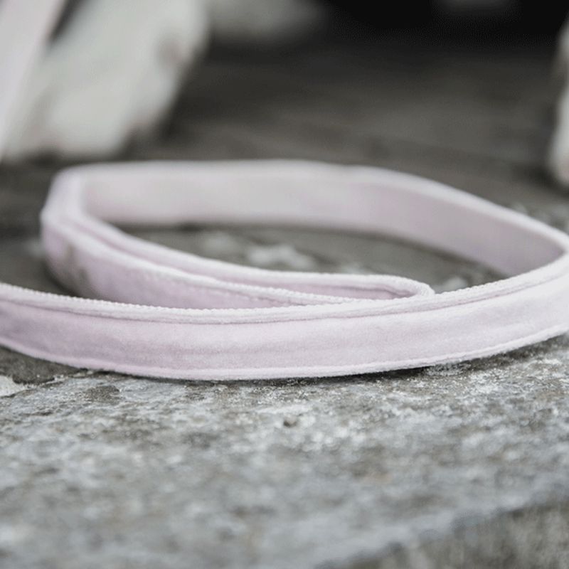 Kentucky Dogwear - Laisse pour chiens Velvet 120 cm rose tendre | - Ohlala