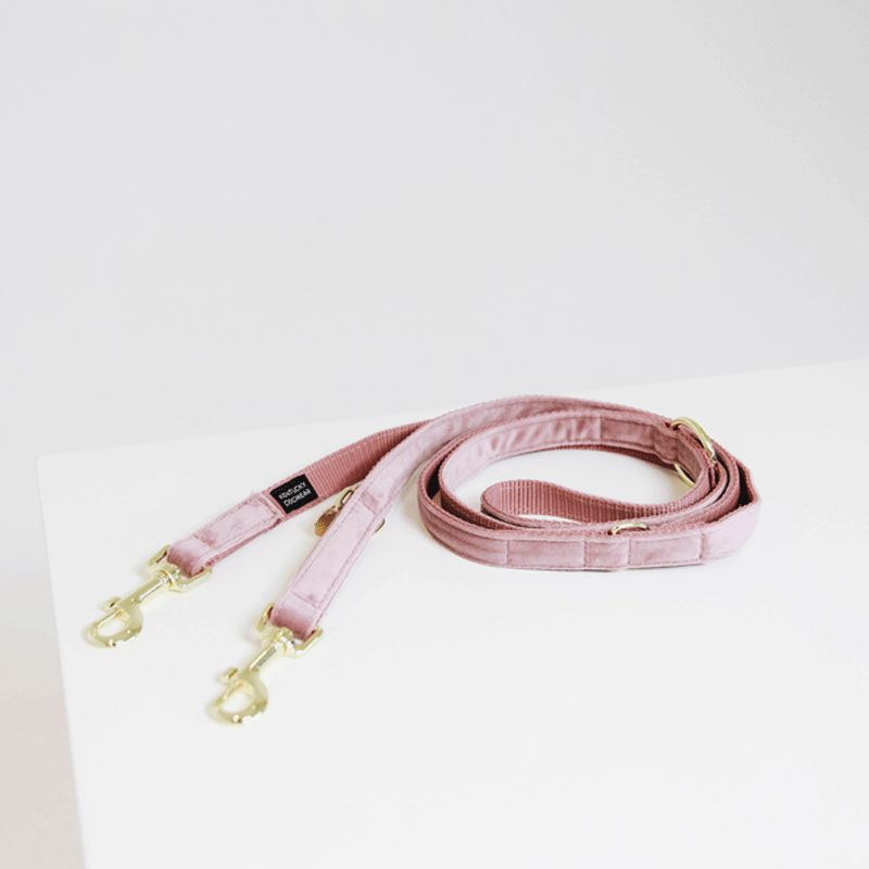 Kentucky Horsewear - Laisse pour chien Velvet vieux rose | - Ohlala