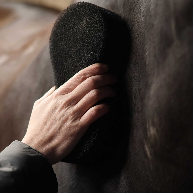 Lami-cell - Éponge Shine Scrubber noir | - Ohlala