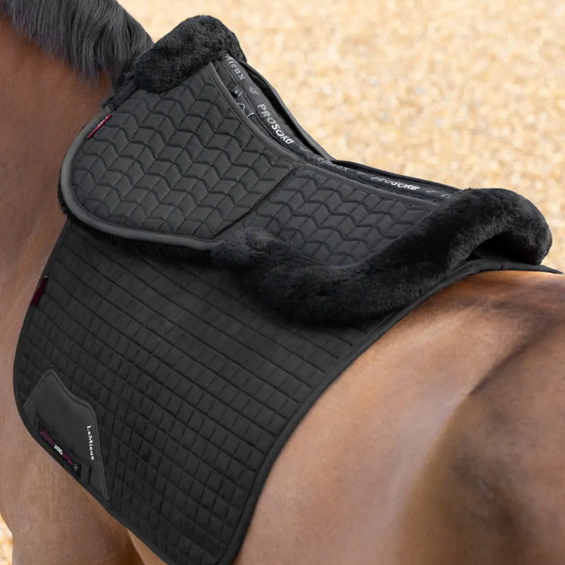 Lemieux - Amortisseur Prosorb 2 poches Merino + noir/ noir | - Ohlala