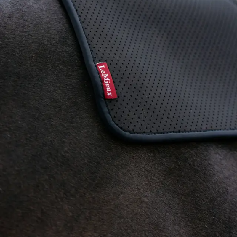 Lemieux - Amortisseur antidérapant Square noir | - Ohlala